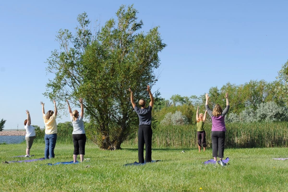A group doing yoga outdoors on a summer morning